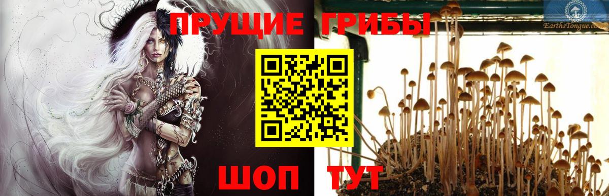 Псилоцибиновые грибы Cubensis  Вход с VPN  Псилоцибиновые грибы ЛСД  Люберцы 